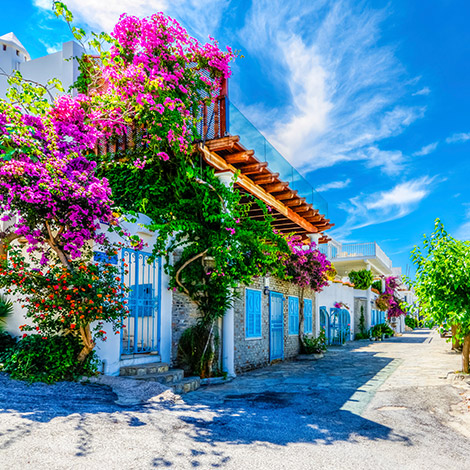 Bodrum Evli Sohbet